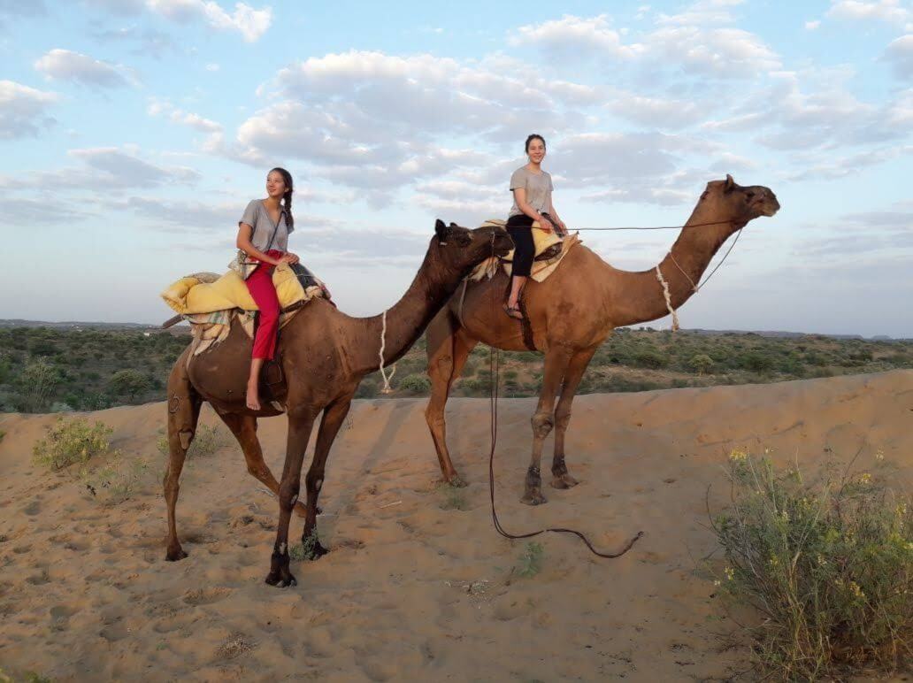 An Enchanting Camel Safari At Osian