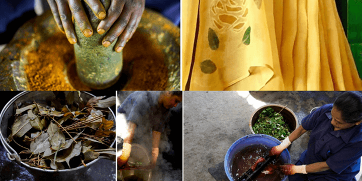 Dyes being made and processed at Aranya Natural.