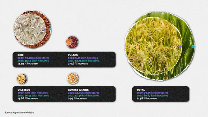 Illustration: Jyothi Syam (Source: Agriculture Ministry)
