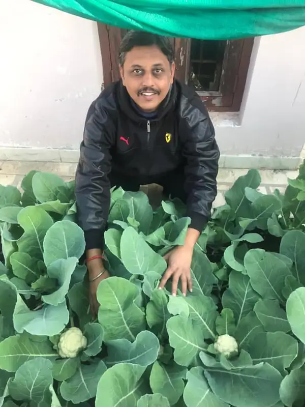 Prateek Tiwari with the cultivated cauliflowers at The Living Greens (Image Credit: The Living Greens Organic Facebook)