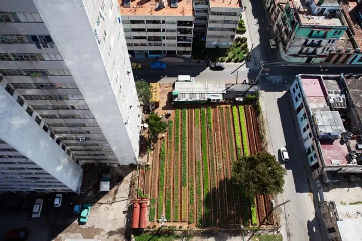 Urban farming examples in Havana, Cuba (Image credit: Fotodocument)