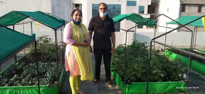Clients examining the vegetables and plants at The Living Greens (Image credit: Prateek Tiwari)