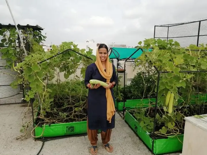 Clients examining the vegetables and plants at The Living Greens (Image credit: Prateek Tiwari)