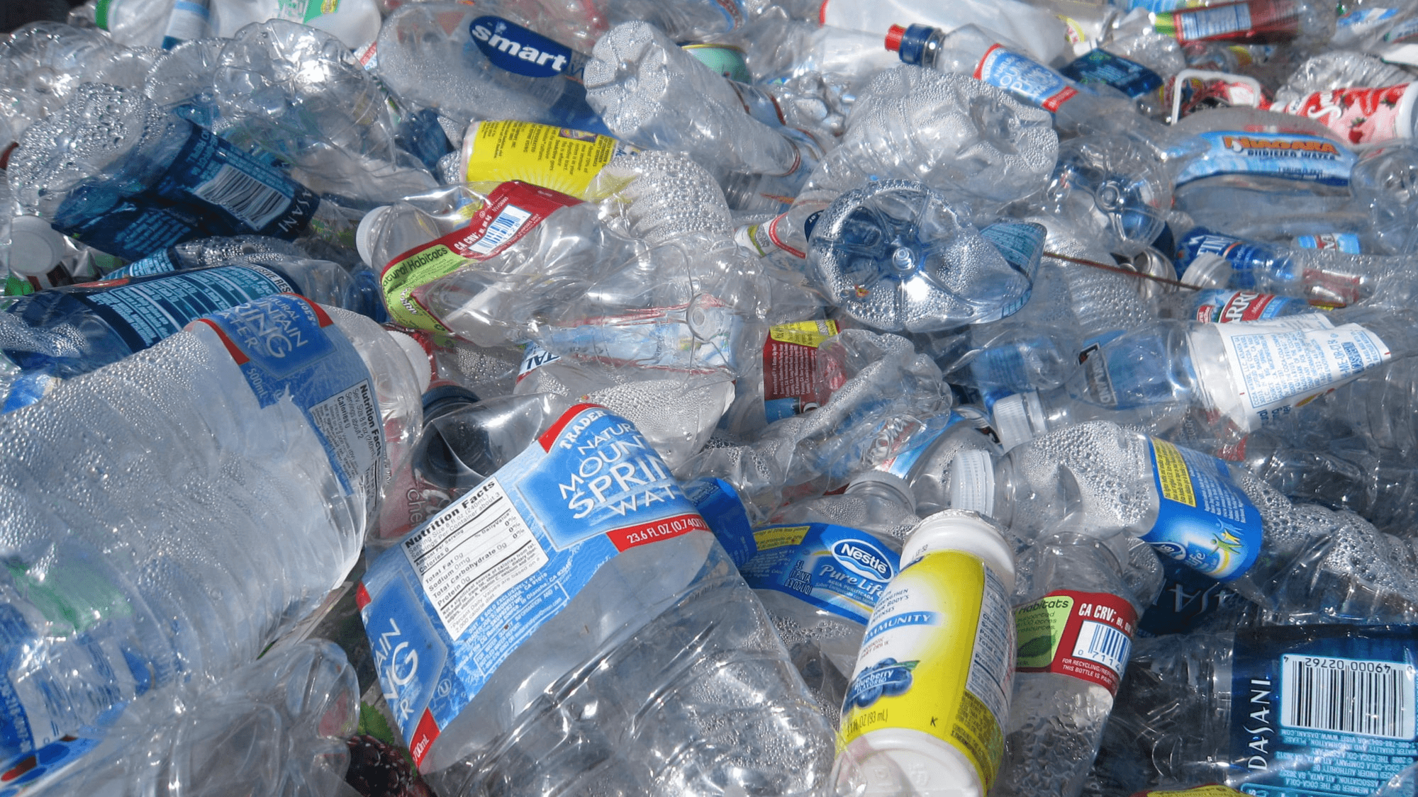 India’s Fight Against Single-Use Plastic: What’s Being Done