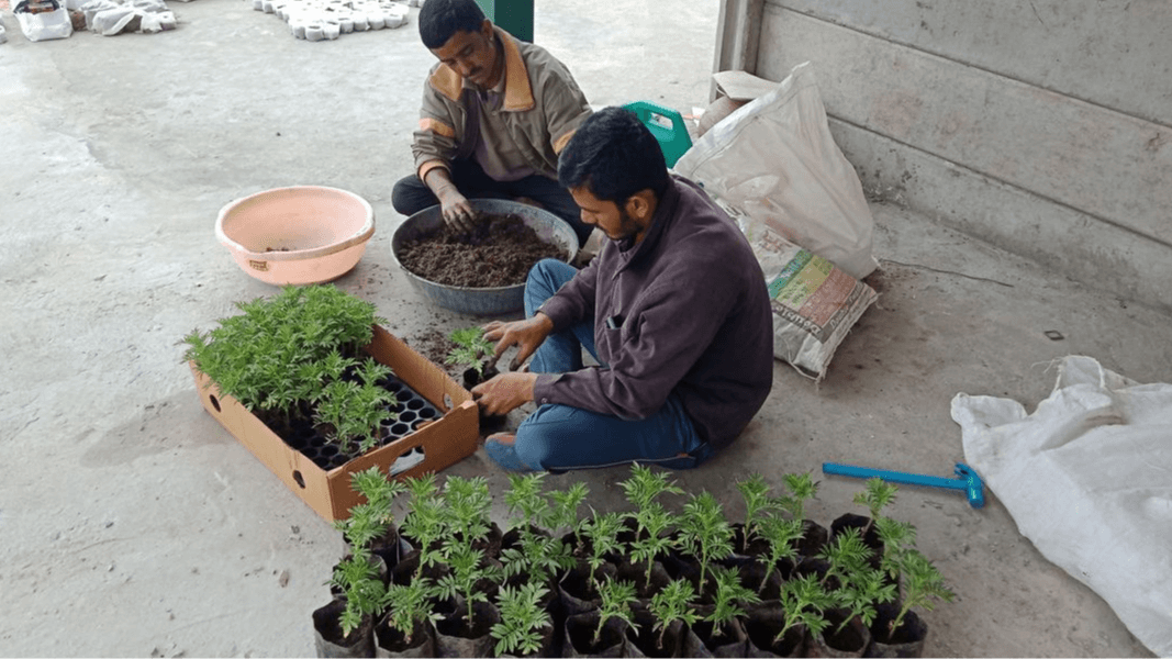 Exploring Organic Farming in Udaipur: A Sustainable Journey