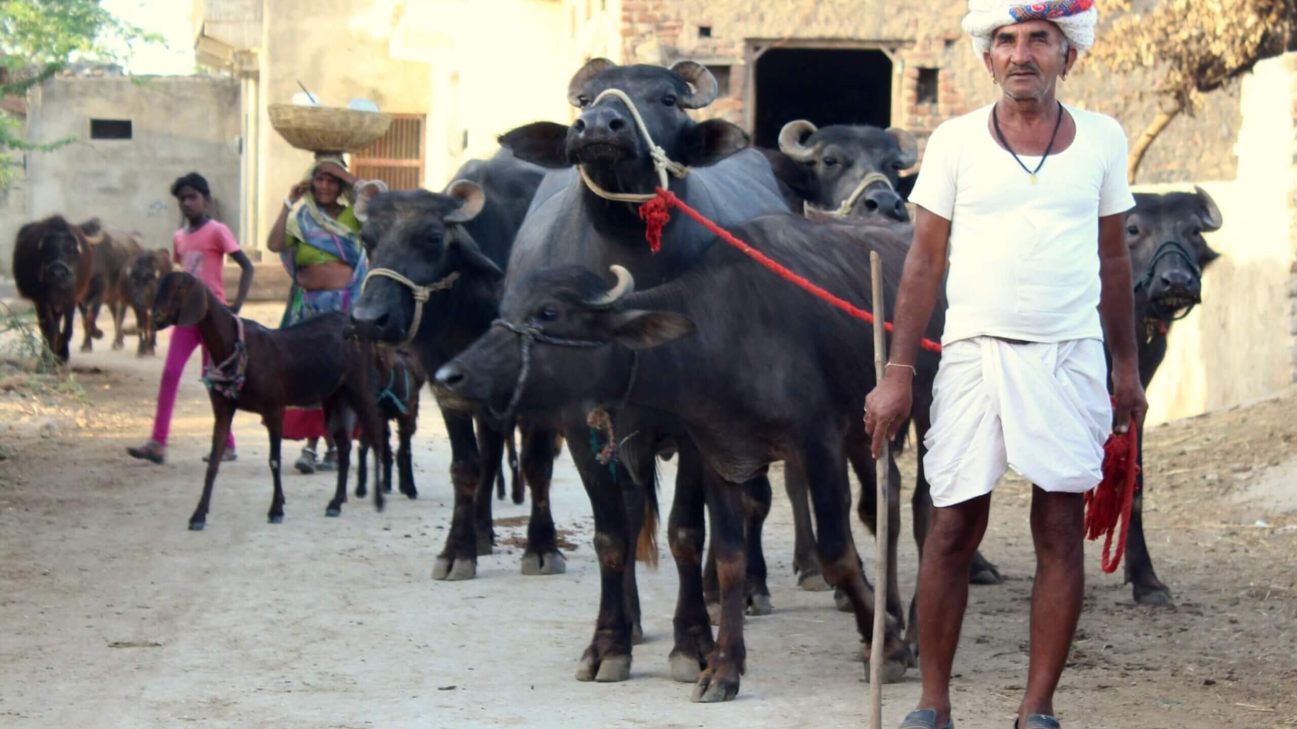 Explore The Essence Of Indian Villages 2