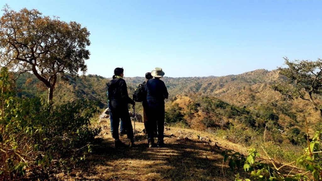 Exploring the Kumbhalgarh Wilderness
