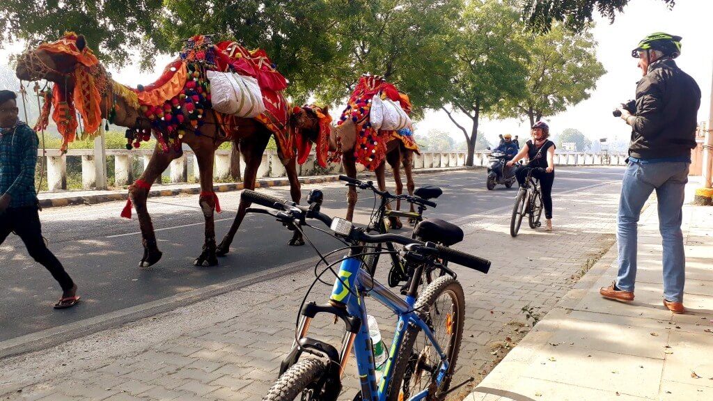 Cycling Around Blue Waters 5