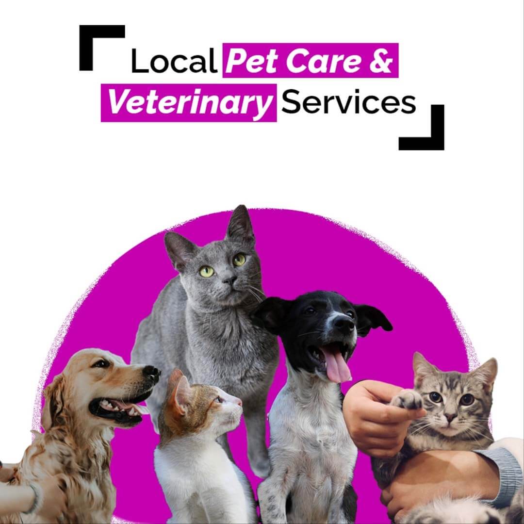 Local Pet Care & Veterinary Services